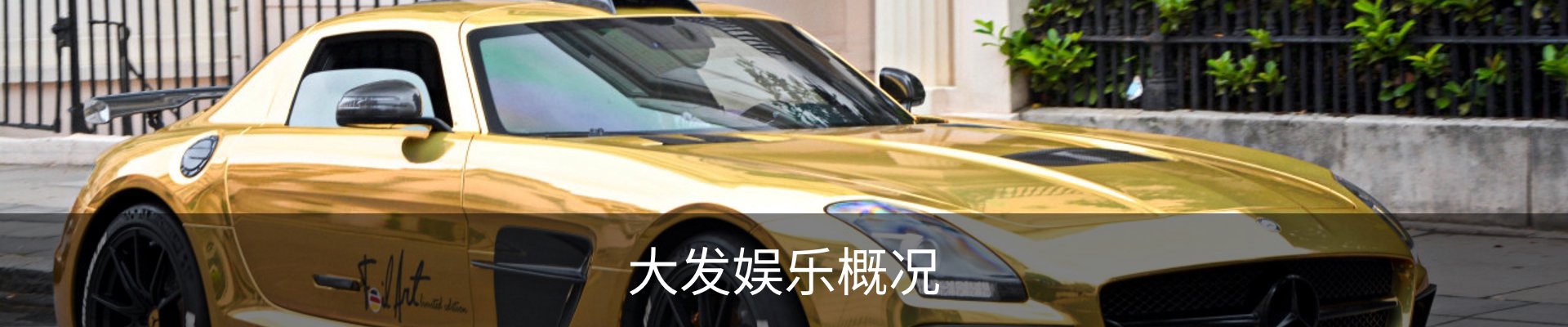 大发娱乐概况